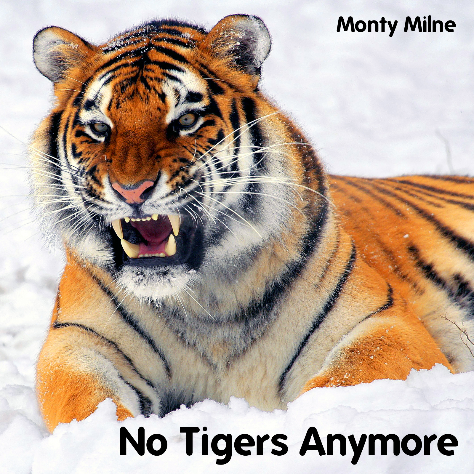 No Tigers Anymore CD Cover